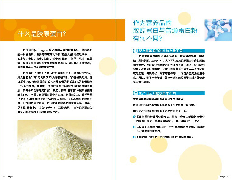 胶原蛋白与蛋白粉氨基酸 科学选择，焕发健康光彩